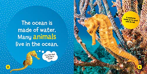 National Geographic Kids Little Kids First Board Book: Ocean (First Board Books),Used