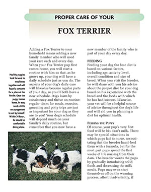 Fox Terrier (CompanionHouse Books) A Kennel Club Book (Comprehensive Owner's Guide),Used
