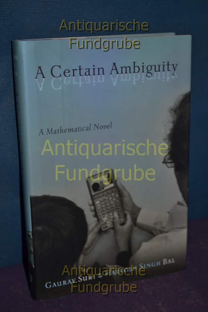 A Certain Ambiguity: A Mathematical Novel,Used