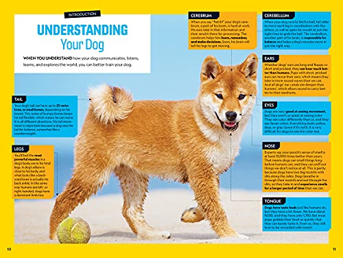 Fetch! A How to Speak Dog Training Guide,Used