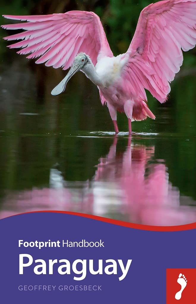 Paraguay Handbook (Footprint  Handbooks),Used