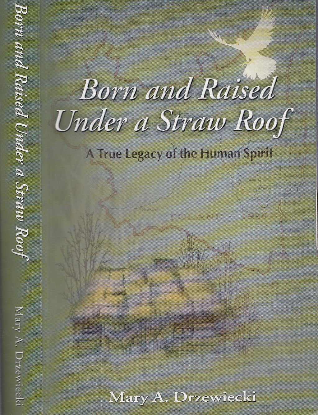 Born And Raised Under A Straw Roof: A True Legacy Of The Human Spirit-used