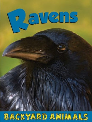 Ravens (Backyard Animals),Used
