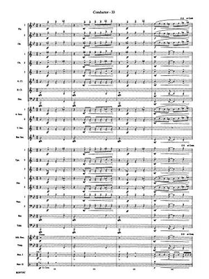 The Maelstrom (Belwin Concert Band),Used