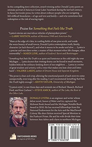 Something That Feels Like Truth (Switchgrass Books),Used