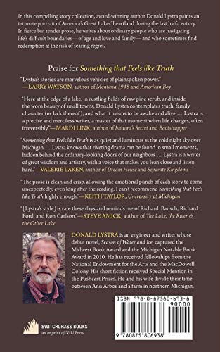 Something That Feels Like Truth (Switchgrass Books),Used