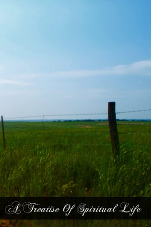 A Treatise Of Spiritual Life: Leading Man By An Easy And Clear Method From The Commencement Of Conversion To The Very Summit Of ,Used