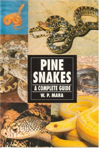 Pine Snakes: A Complete Guide,New