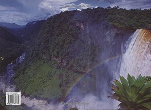 Rainforest,Used