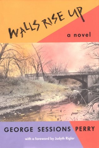 WALLS RISE UP (Texas Tradition (Hardcover)),Used