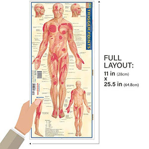 Trigger Points QuickStudy Laminated Reference Guide (QuickStudy Academic),New