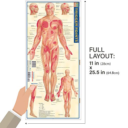Trigger Points QuickStudy Laminated Reference Guide (QuickStudy Academic),New