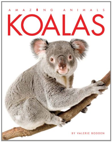 Amazing Animals: Koalas,New