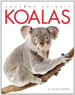 Amazing Animals: Koalas,Used