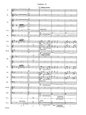 Convergence (Belwin Young Band),Used
