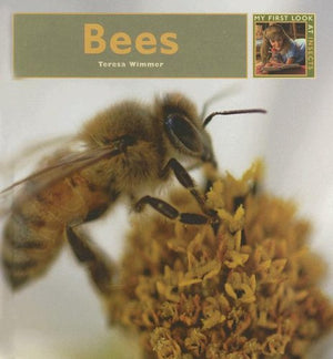 Bees (My First Look At: Insects),Used