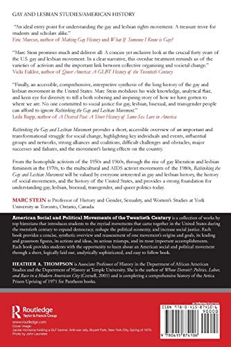 Rethinking the Gay and Lesbian Movement (American Social and Political Movements of the 20th Century),Used
