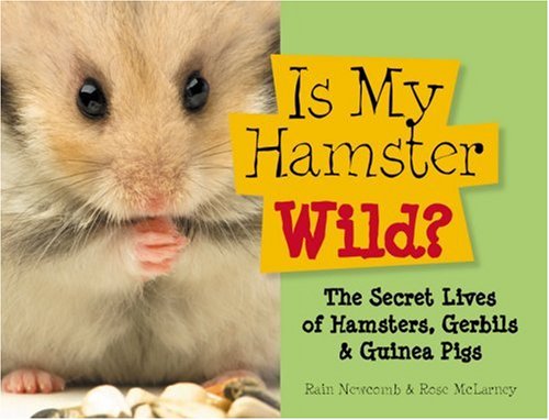 Is My Hamster Wild?: The Secret Lives of Hamsters, Gerbils & Guinea Pigs,Used