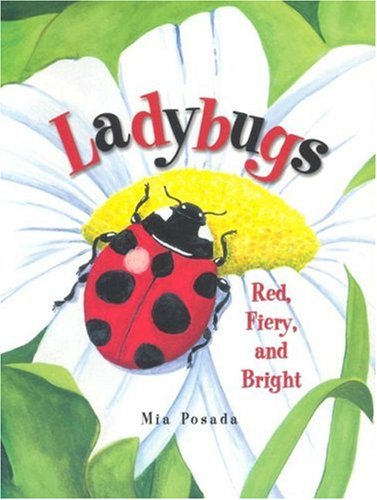 Ladybugs: Red, Fiery, And Bright,Used