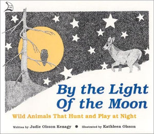 By the Light of the Moon,Used