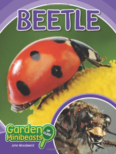 Beetle (Garden Minibeasts Up Close),Used