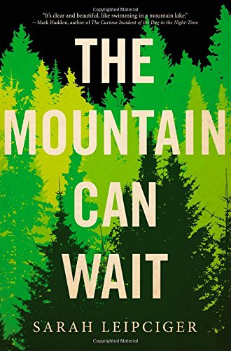 The Mountain Can Wait