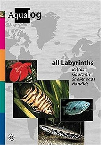 AQUALOG All Labyrinths  Bettas, Gouramis, Snakeheads and Nandids (English and German Edition),Used