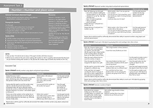 Busy Ant Maths  Year 2 Assessment Guide,Used