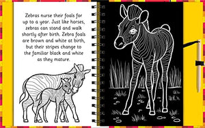 Scratch & Draw Animals  Scratch Art Activity Book (Scratch and Draw),Used