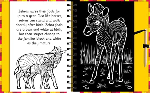 Scratch & Draw Animals  Scratch Art Activity Book (Scratch and Draw),Used