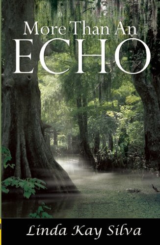 More Than an Echo,Used