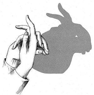 Fun with Hand Shadows (Dover Kids Activity Books),Used