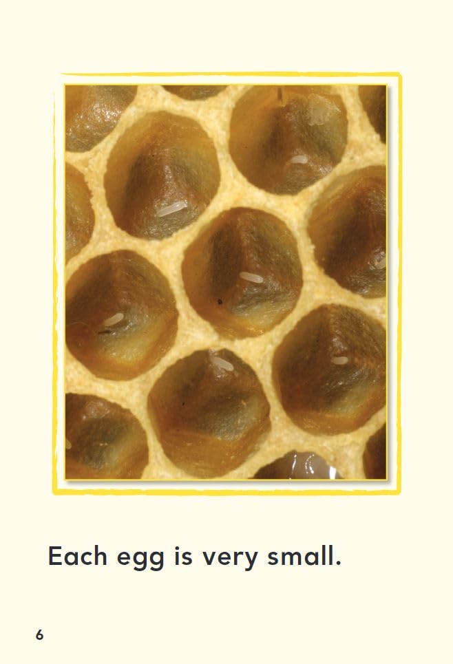 A Bee's Life (TIME FOR KIDS Nonfiction Readers),Used