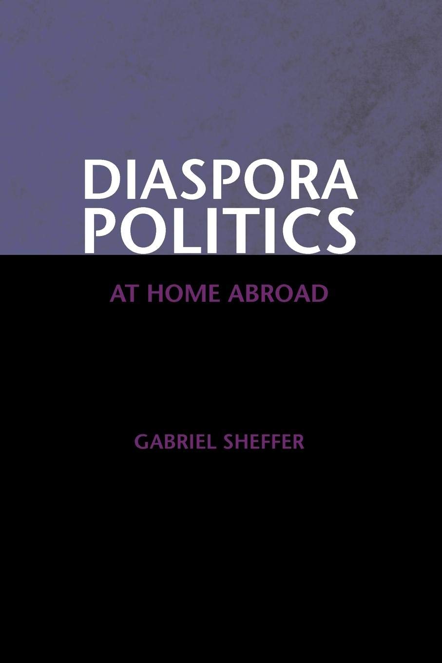 Diaspora Politics: At Home Abroad,Used