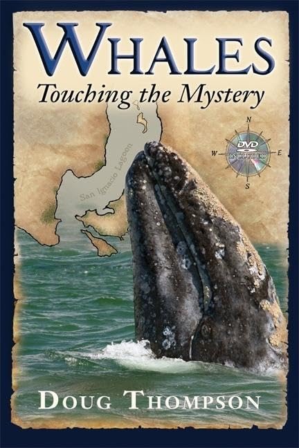 Whales: Touching the Mystery,New