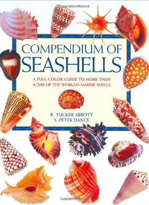 Compendium of Seashells,Used