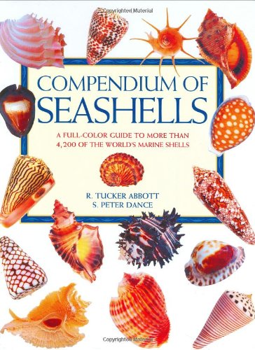 Compendium of Seashells,Used