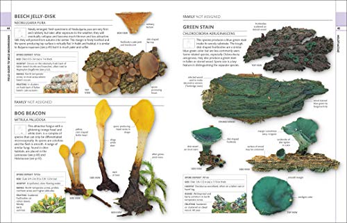 Mushrooms: How To Identify And Gather Wild Mushrooms And Other Fungi,Used