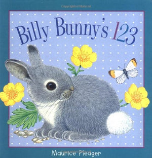 Billy Bunny's 123,Used