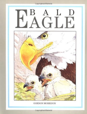 Bald Eagle,New