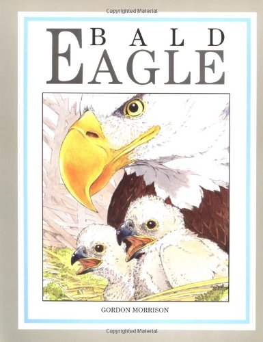 Bald Eagle,New