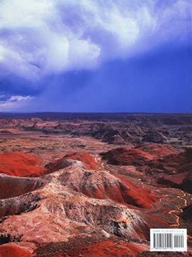 Petrified Forest: A Story in Stone,New