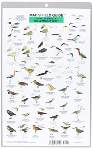 Mac's Field Guides: Northeast Coastal Water Birds (Mac's Guides (Paperback)),Used