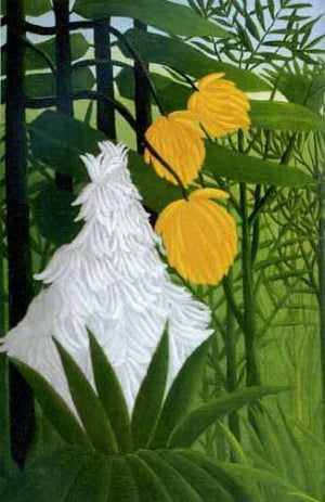 Henri Rousseau: Dreams of the Jungle (Pegasus Library Paperback),Used