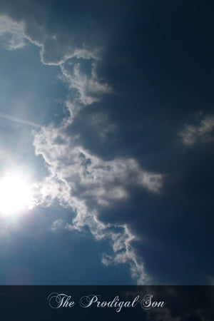 The Prodigal Son: The Sinners Return To God,Used