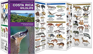 Costa Rica Wildlife: A Folding Pocket Guide to Familiar Species (A Pocket Naturalist Guide),Used