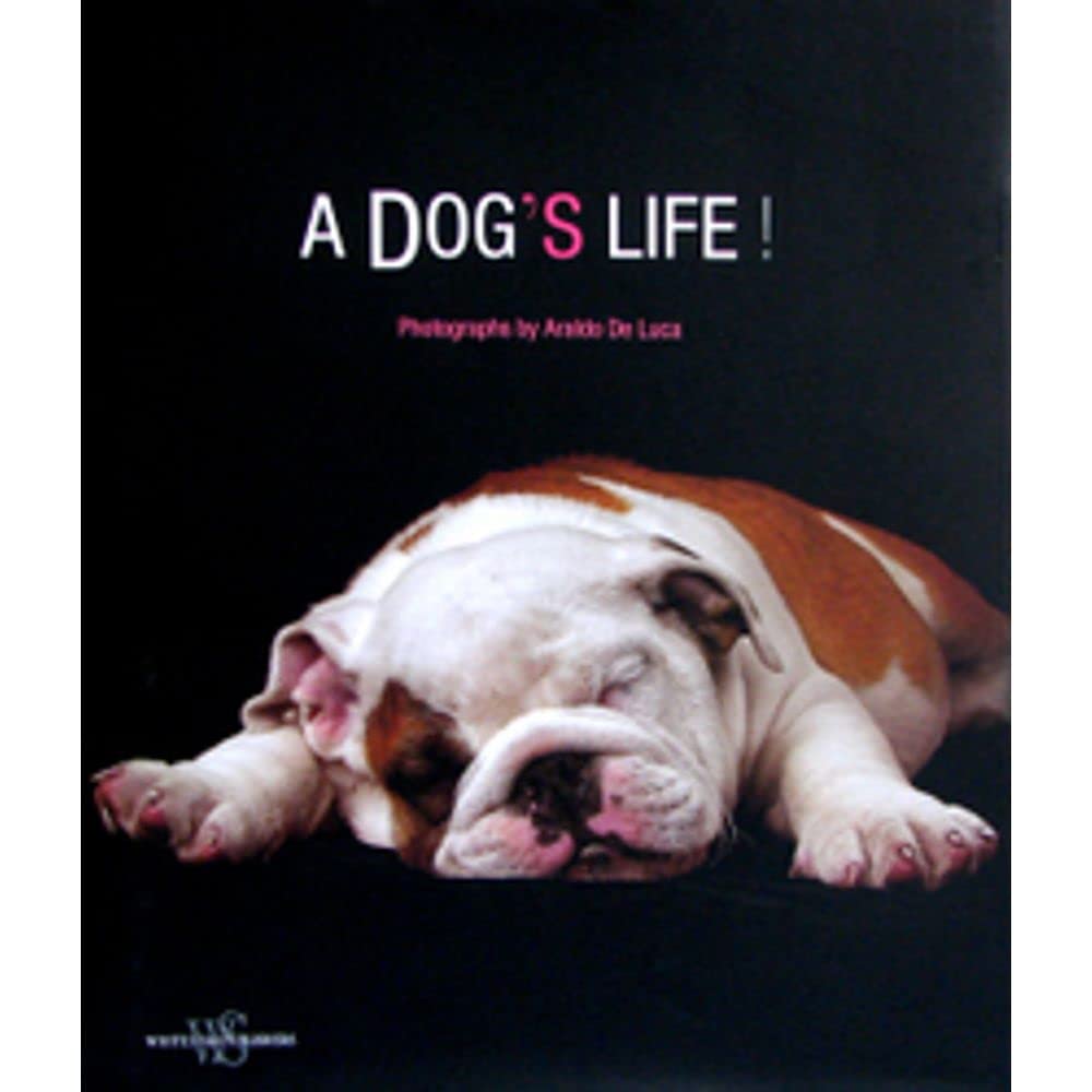 Dogs & Dogs!,Used