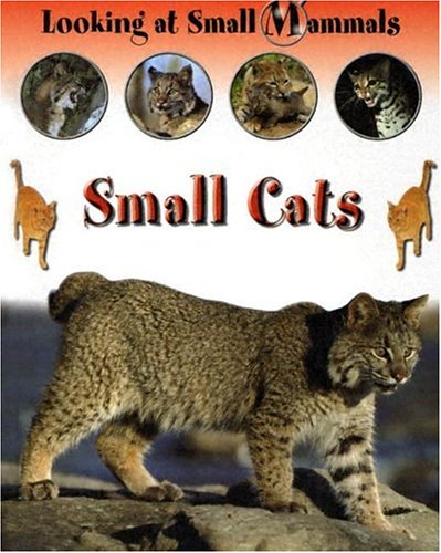 Small Cats (Looking at Small Mammals),Used