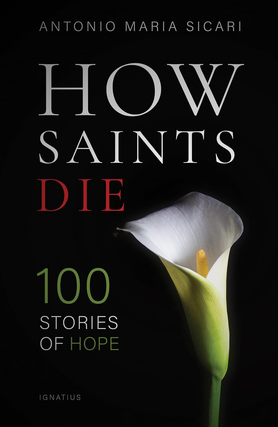 How Saints Die: 100 Stories of Hope,Used