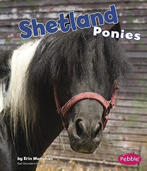 Shetland Ponies (Pebble Books, Horses),Used